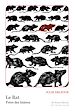 Télécharger le livre :  Le Rat