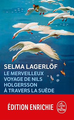 Télécharger le livre :  Le Merveilleux voyage de Nils Holgersson à travers la Suède