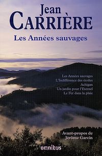 Téléchargez le livre :  Les Années sauvages