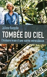 Téléchargez le livre :  Tombée du ciel