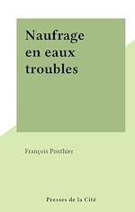 Télécharger le livre :  Naufrage en eaux troubles