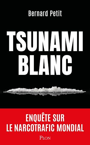 Téléchargez le livre :  Tsunami blanc