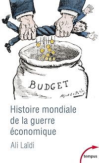 Téléchargez le livre :  Histoire mondiale de la guerre économique