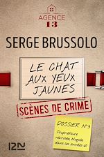 Télécharger le livre :  Agence 13 - tome 3 Le chat aux yeux jaunes