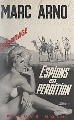 Télécharger le livre :  Espions en perdition