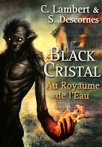 Télécharger le livre :  Black Cristal - tome 2 Au royaume de l'eau