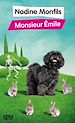 Télécharger le livre :  Monsieur Emile