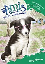 Télécharger le livre :  Mes amis de la forêt enchantée - tome 10 La surprise d'Eva Truffe-Flair
