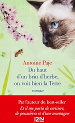 Télécharger le livre :  Du haut d'un brin d'herbe, on voit bien la Terre