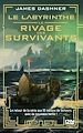 Télécharger le livre :  Le Labyrinthe - Tome 1 Le rivage des survivants