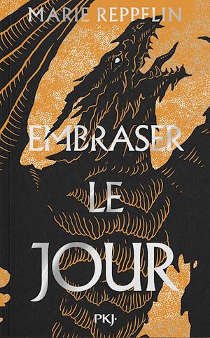 Téléchargez le livre :  Affronter la nuit - Tome 2 : Embraser le jour