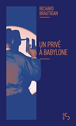 Télécharger le livre :  Un privé à Babylone