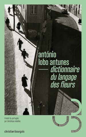 Téléchargez le livre :  Dictionnaire du langage des fleurs