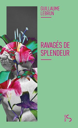 Téléchargez le livre :  Ravagés de splendeur