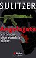 Télécharger le livre :  Angolagate