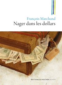 Téléchargez le livre :  Nager dans les dollars