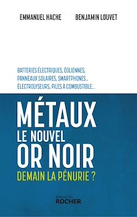 Téléchargez le livre :  Métaux, le nouvel or noir