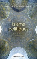 Télécharger le livre :  Islams politiques. Courants, doctrines et idéologies