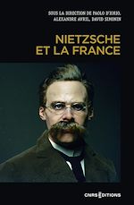 Télécharger le livre :  Nietzsche et la France