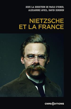 Téléchargez le livre :  Nietzsche et la France