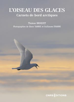 Téléchargez le livre :  L'oiseau des glaces - Carnets de bord arctiques