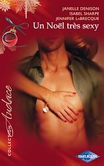 Télécharger le livre :  Un Noël très sexy