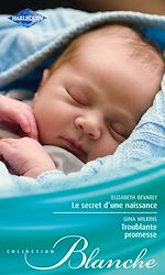 Télécharger le livre :  Le secret d'une naissance - Troublante promesse