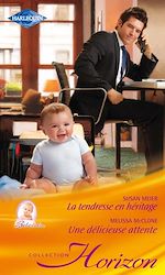 Télécharger le livre :  La tendresse en héritage - Une délicieuse attente