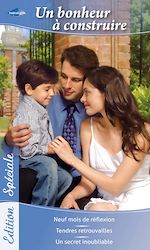 Télécharger le livre :  Un bonheur à construire