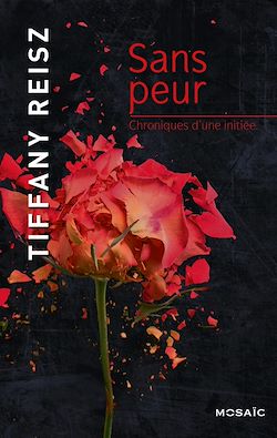 Télécharger le livre :  Sans peur