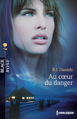 Télécharger le livre :  Au coeur du danger