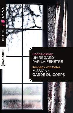 Télécharger le livre :  Un regard par la fenêtre - Mission: garde du corps