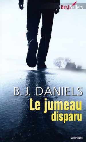 Téléchargez le livre :  Le jumeau disparu