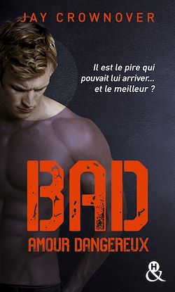 Télécharger le livre :  Bad - T2 Amour dangereux