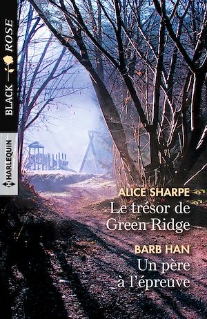 Téléchargez le livre :  Le trésor de Green Ridge - Un père à l'épreuve