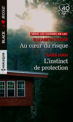 Télécharger le livre :  Au coeur du risque - L'instinct de protection