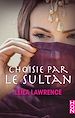 Télécharger le livre :  Choisie par le sultan