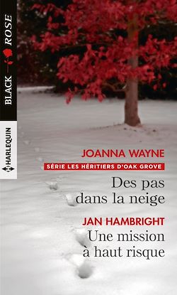 Télécharger le livre :  Des pas dans la neige - Une mission à haut risque