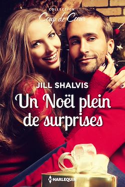 Télécharger le livre :  Un Noël plein de surprises