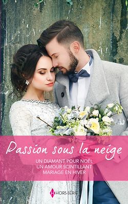 Télécharger le livre :  Passion sous la neige