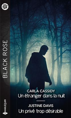 Télécharger le livre :  Un étranger dans la nuit - Un privé trop désirable