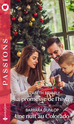 Télécharger le livre :  La promesse de l'hiver - Une nuit au Colorado