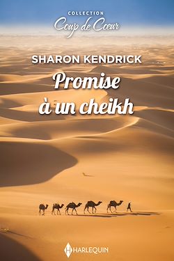 Télécharger le livre :  Promise à un cheikh