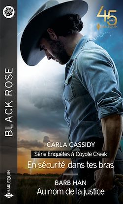 Télécharger le livre :  En sécurité dans tes bras - Au nom de la justice