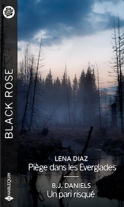 Télécharger le livre :  Piège dans les Everglades - Un pari risqué