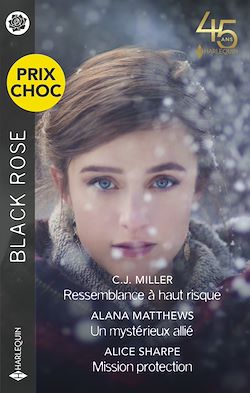 Télécharger le livre :  Ressemblance à haut risque - Un mystérieux allié - Mission protection