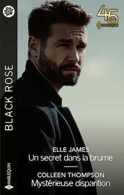 Télécharger le livre :  Un secret dans la brume - Mystérieuse disparition