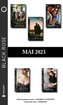 Télécharger le livre :  Pack mensuel Black Rose - 10 romans (Mai 2023)