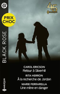 Télécharger le livre :  Retour à Silverhill - À la recherche de Jordan - Une mère en danger