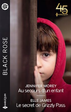 Télécharger le livre :  Au secours d'un enfant - Le secret de Grizzly Pass